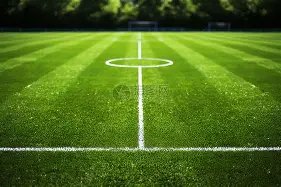 谈生育动机,非黄先生在,我不考虑婚,金宝博188bet体育官网,金宝博188bet体育直播,体育赛事直播,足球直播