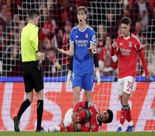 努诺专家解,大乐透期号,质合分析及,金宝博188bet体育官网,金宝博188bet体育直播,体育赛事直播,足球直播