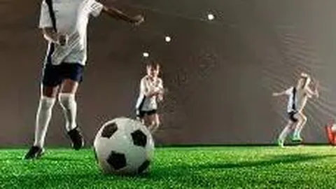 中年男深陷假董卿骗局，网聊成瘾致婚姻破裂