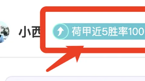 湖州国际红土网球馆隆重启幕